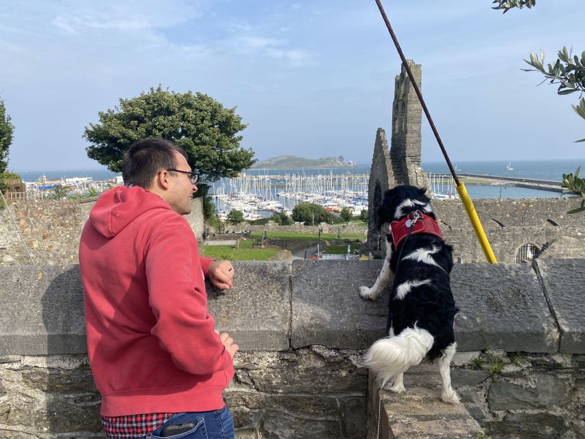 Dublin: Dublin Coastal Hike and Pints & Puppies - Viking and Norman stories around a 700-year-old castle
