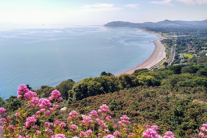 Dublin (Dun Laoghaire) Top-Rated Coastal Walking Tour - Beginning at Dun Laoghaire Harbour