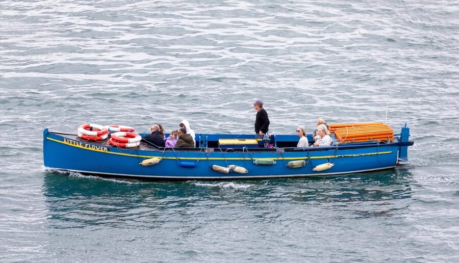 Dublin: Ferry from Howth to Ireland's Eye island - Who will enjoy this experience most