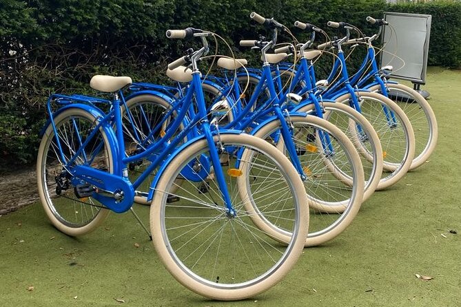 Dublin Full Day Bike Rental - Why a bike works so well in Phoenix Park