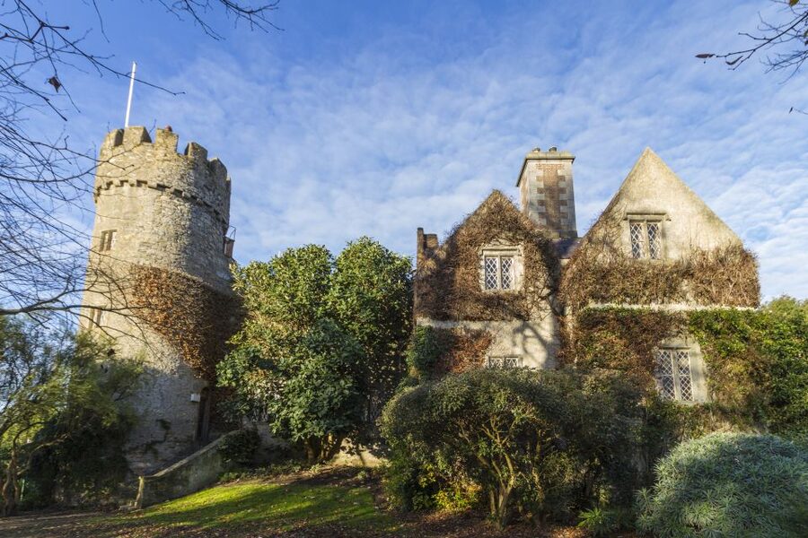 Dublin: Full-Day Howth and Malahide Castle Tour - Guide language and the feel of the experience