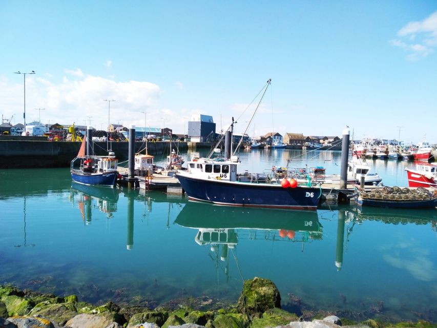 Dublin: Full-Day Howth and Malahide Castle Tour - Who will enjoy this tour most?