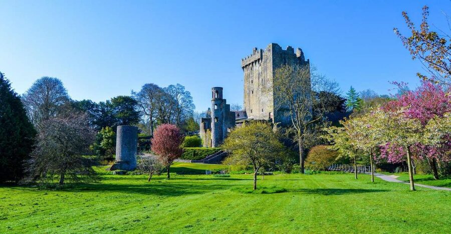 Dublin: Full-Day Tour to Cork, Cobh and Blarney Castle - Key points to know before booking
