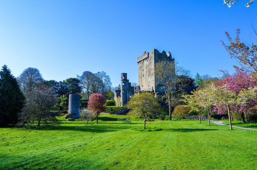 Dublin: Full-Day Tour to Cork, Cobh and Blarney Castle - How the guides affect the day