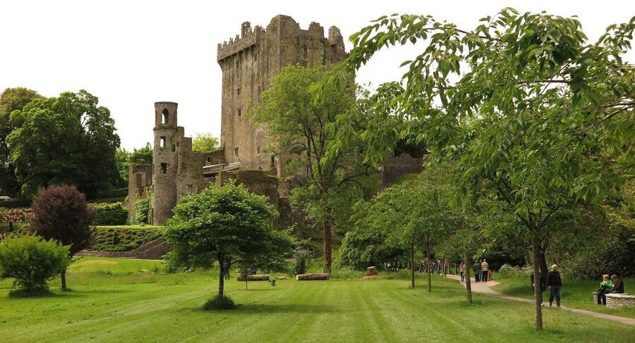Dublin: Full-Day Tour to Cork, Cobh and Blarney Castle - Blarney Castle, the stone, and the gardens