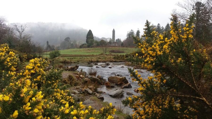 Dublin: Full-Day Wicklow Mountains Tour w/ Glendalough Visit - Why this Wicklow day trip works from Dublin