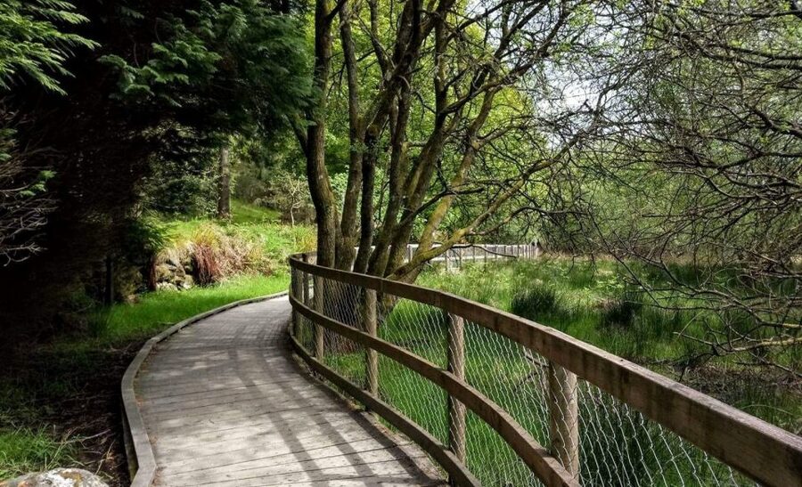 Dublin: Full-Day Wicklow Mountains Tour w/ Glendalough Visit - The pace, walking, and weather