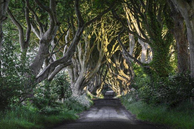 Dublin: Giant's Causeway, Dark Hedges, Dunluce and Belfast Titanic entrance fee - Key things to know before you go
