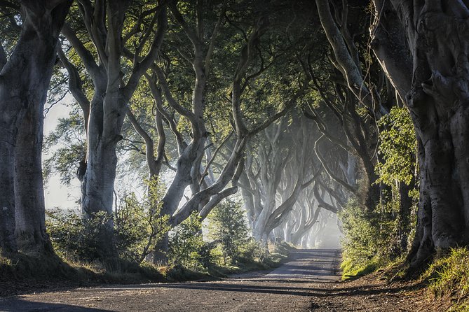 Dublin: Giant's Causeway, Dark Hedges, Dunluce and Belfast Titanic entrance fee - Price and what you receive for $102.79