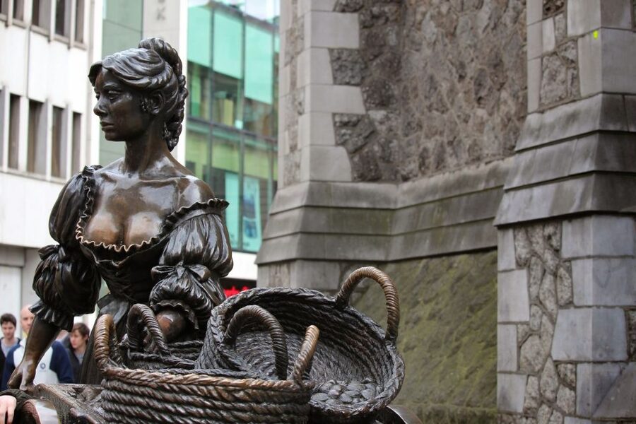 Dublin: Half-Day Private Walking Tour - Literary Dublin and architectural details