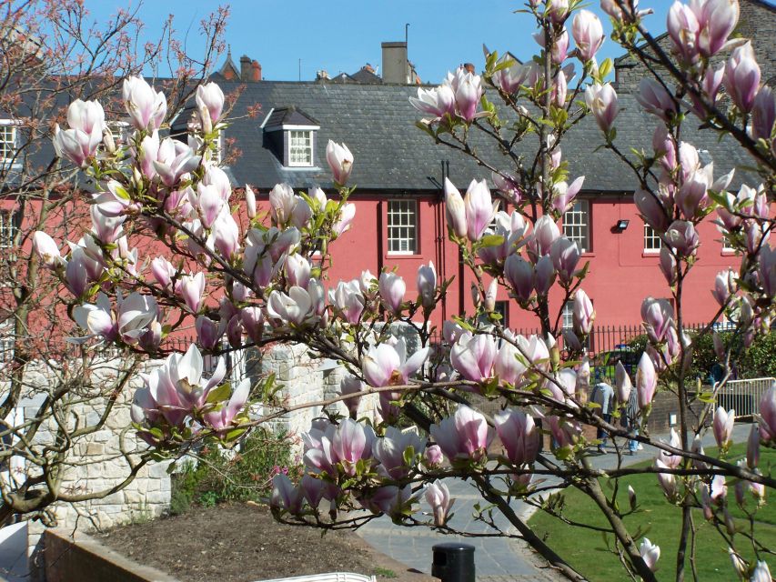 Dublin: Highlights and Hidden Corners Walking Tour - Key points to know before booking