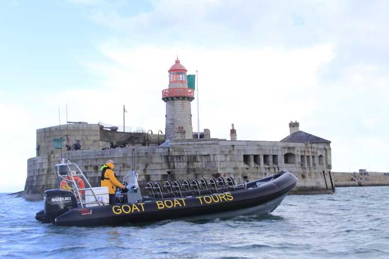 Dublin: History and Wildlife Boat Tour with Live Commentary - Key points to know before booking