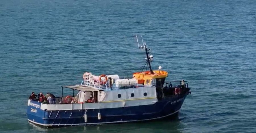 Dublin: Howth Cliffs and Lighthouse Boat Tour - Live commentary from the captain