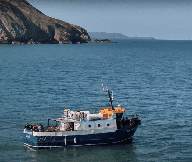 Dublin: Howth Cliffs and Lighthouse Boat Tour - How to make the most of your time onboard