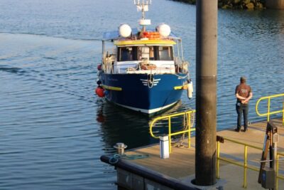 Howth Cliffs and Lighthouse Cruise