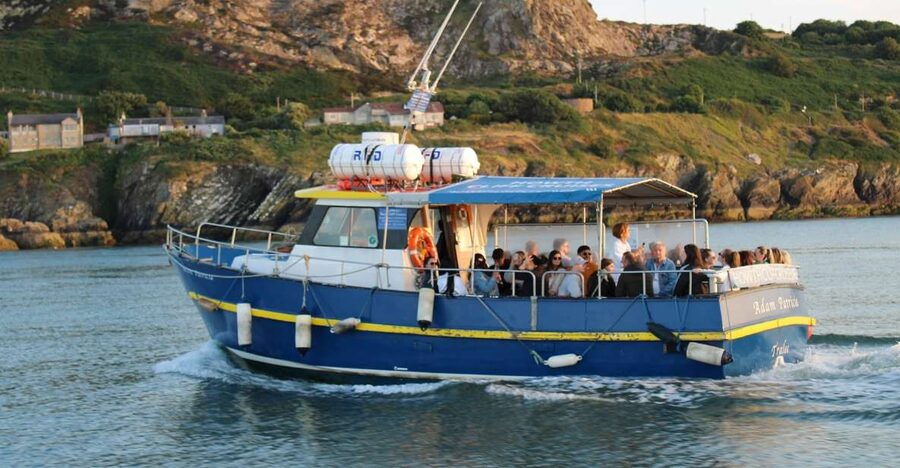 Dublin: Howth Cliffs and Lighthouse Cruise - Who will enjoy this cruise most?