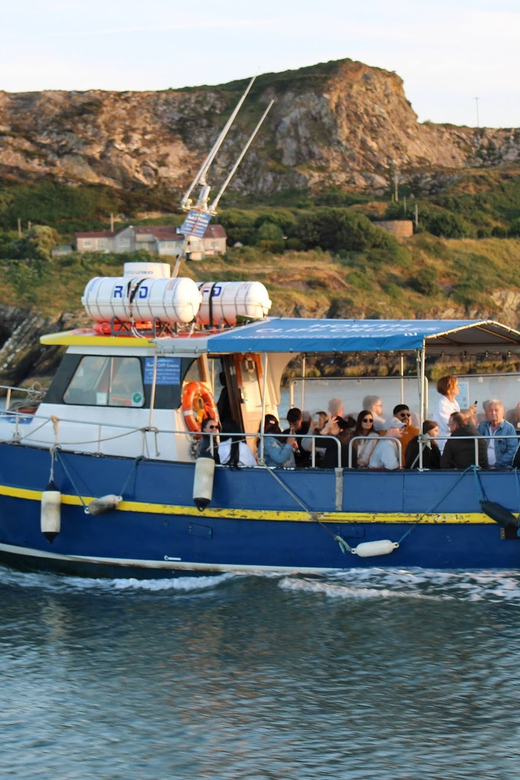 Dublin: Howth Coast and Ireland's Eye Boat Tour - Howth Cliffs and Balscadden Bay