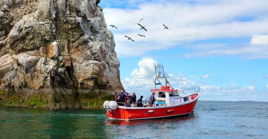 Dublin: Howth Coastal Boat Tour - Why the boat changes your view of Howth