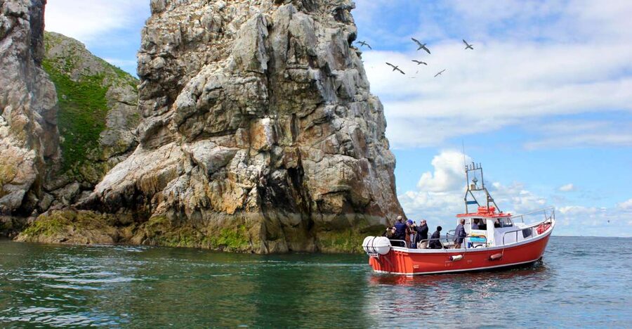 Dublin: Howth Coastal Boat Tour - The value of a $28 coastal outing