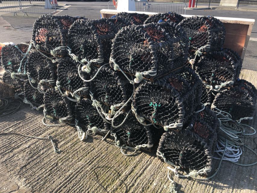 Dublin: Howth Coastal Craft Beer and Seafood Tour - The guides bring the local character