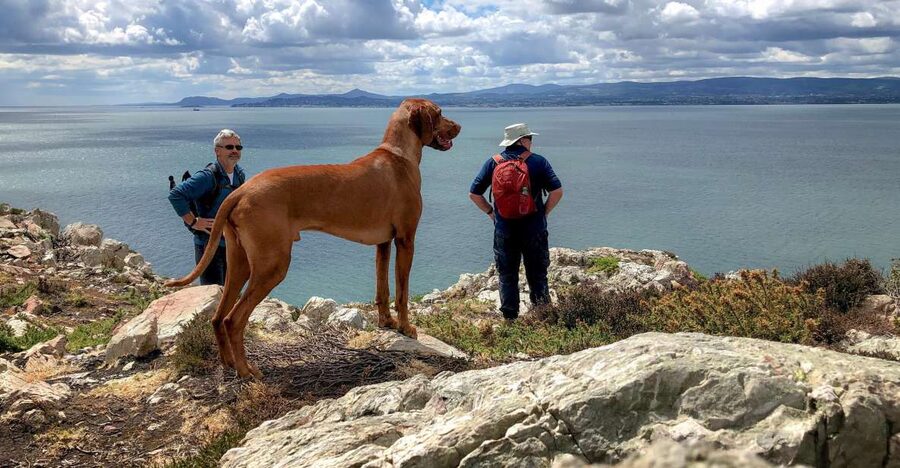 Dublin: Howth Coastal Hiking Tour - Key points to know before you go