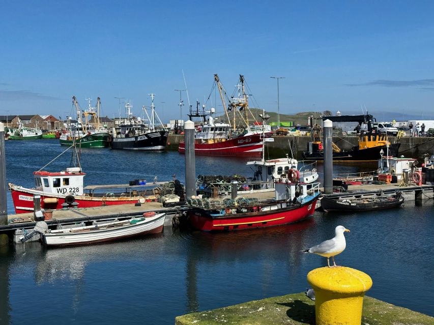 Dublin: Howth Coastal Hiking Tour - Heathland trails, wildflowers, and the less-used paths