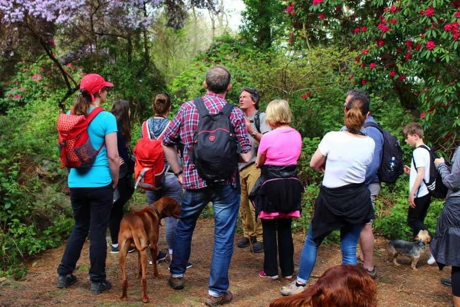 Dublin: Howth Coastal Hiking Tour - Baily Lighthouse and the Howth Cliff Walk