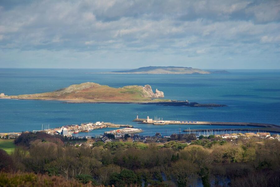 Dublin: Howth Coastal Hiking Tour - Starting at Howth Market and the fishing harbour