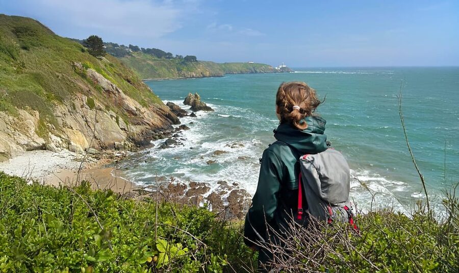 Dublin: Howth Safari Hiking Tour - Why this Howth walk feels different from a standard Dublin day trip