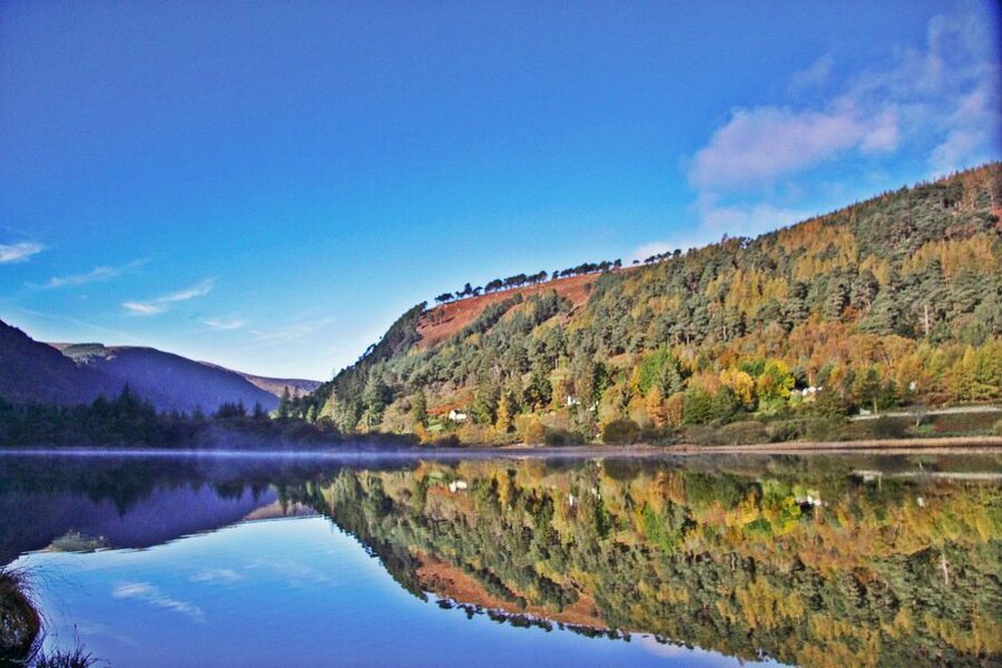 Dublin: Kilkenny, Wicklow & Glendalough Tour & Sheepdog Show - The sheepdog farm brings Ireland to life