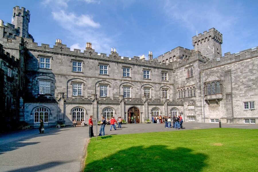 Dublin: Kilkenny, Wicklow & Glendalough Tour & Sheepdog Show - Guides, drivers, and the tone of the day