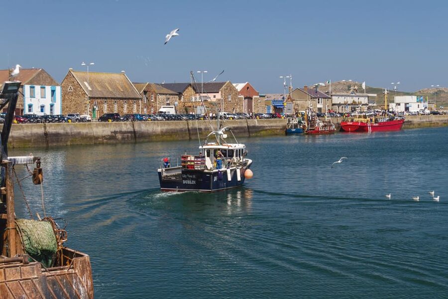 DUBLIN: Malahide castle and Howth MULTILINGUAL full day tour - Free time in Howth’s fishing harbor