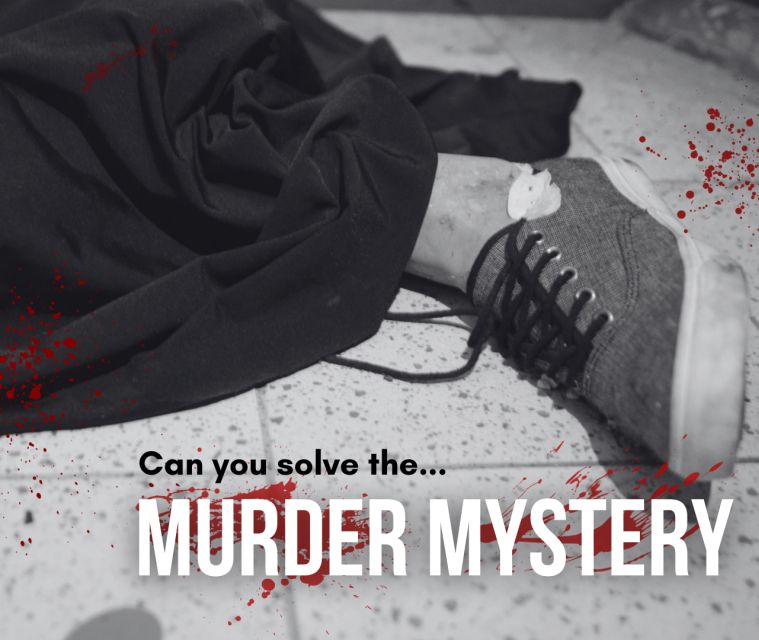 Dublin: Murder Mystery at the National Wax Museum - How the one-hour mystery works
