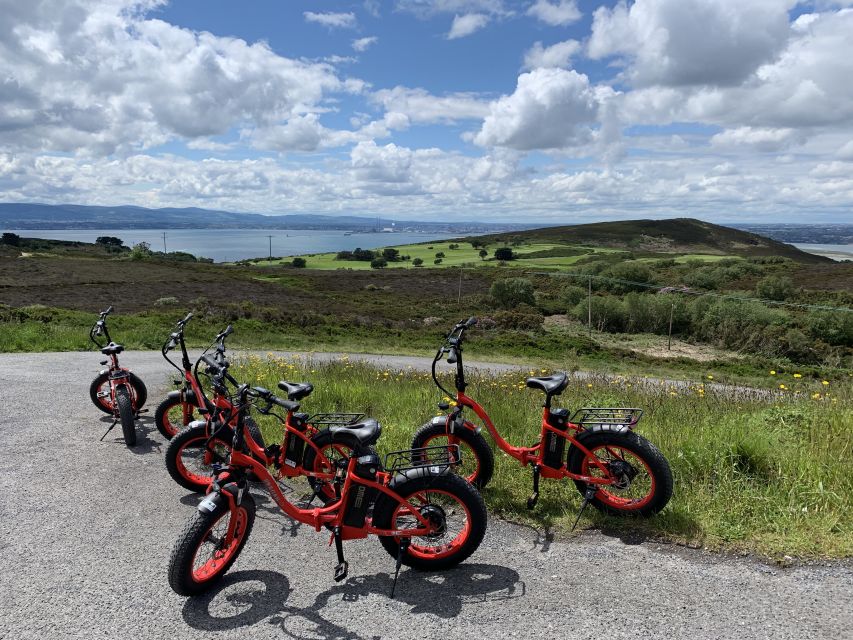 Dublin: Panoramic e-Bike Tour - What the guide adds to the ride