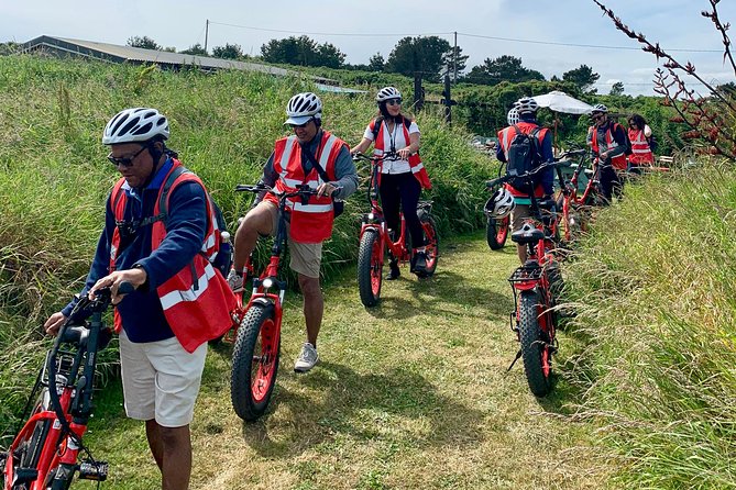 Dublin Panoramic e-Bike Tour with Howth Adventures - What the $83.44 price really buys you