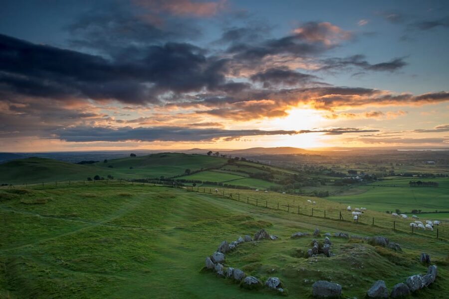 Dublin: Private Boyne Valley and Trim Castle Day Tour - What the $670 price really covers