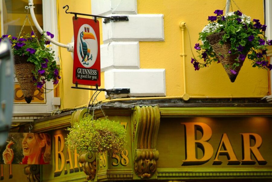 Dublin: Private City Tour in German - A Dublin tour that changes with your interests