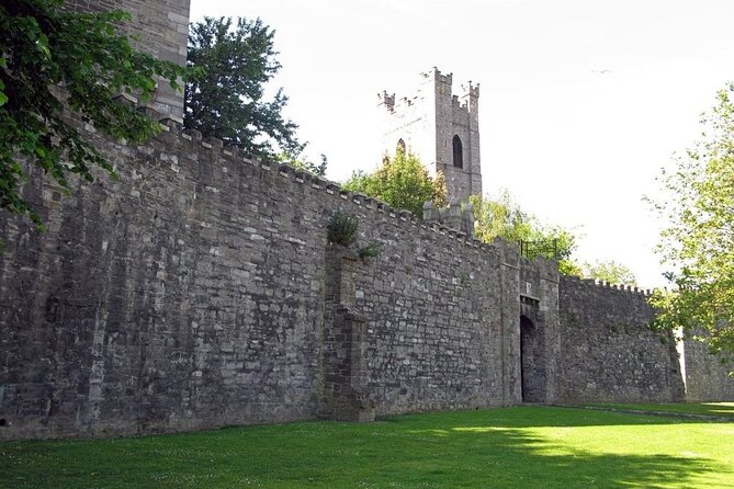 Dublin Private Medieval Walking Tour - Christ Church Cathedral and Strongbow
