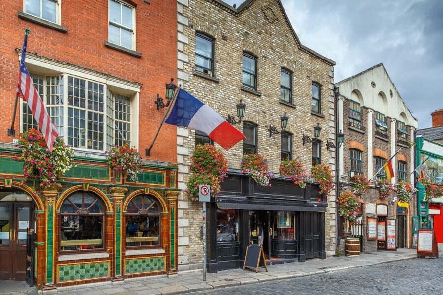 Dublin: Skip-the-line Book of Kells & Old Town Private Tour - How good is the guiding?