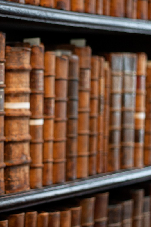 Dublin: St Patrick's, Book of Kells, and Dublin Castle Tour - Trinity College and the illuminated manuscript