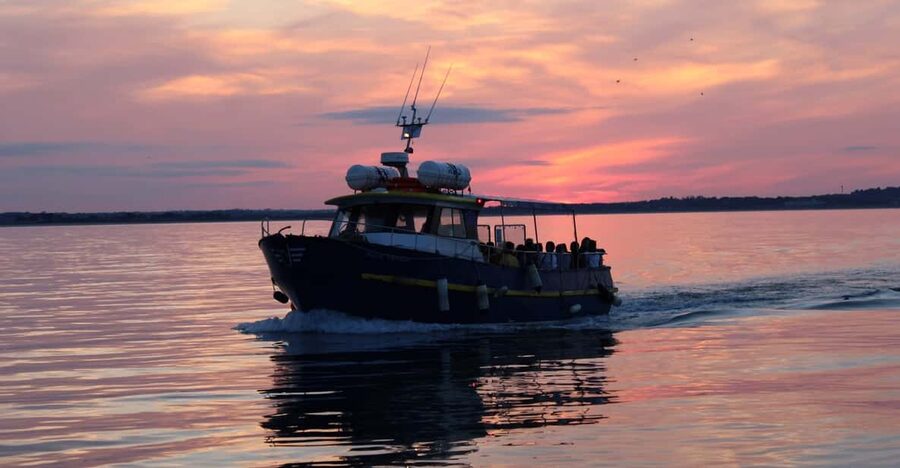 Dublin: Sunset Cruise in Howth - Key points to know before you book