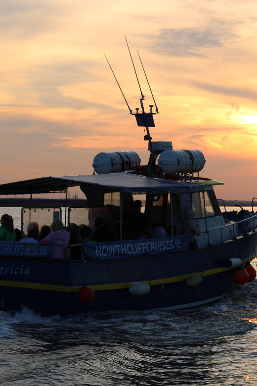 Dublin: Sunset Cruise in Howth - Wildlife sightings are a bonus, not a promise