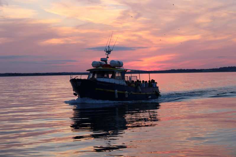 Dublin: Sunset Cruise in Howth - Ireland’s Eye, the cruise’s main attraction