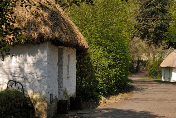 Dublin to Cliffs of Moher, Ennis Town & Bunratty Castle Day Tour - What the guides and drivers add