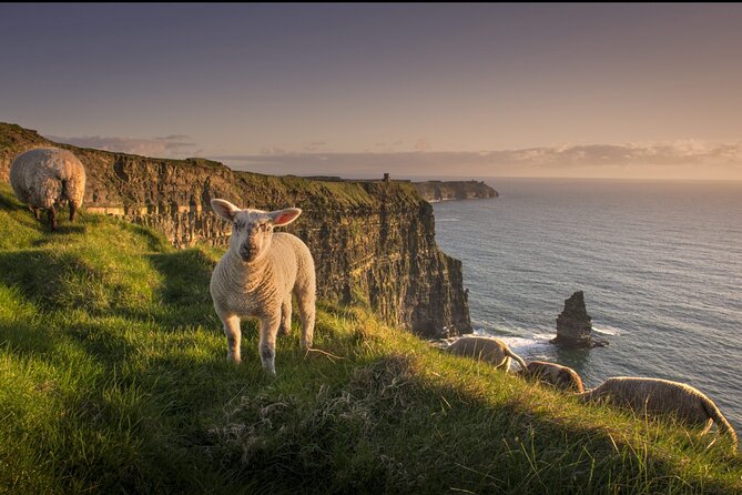 Dublin to Cliffs of Moher, Ennis Town & Bunratty Castle Day Tour - Who should book this tour?