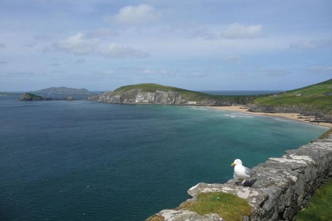 Dublin to South West 5 Day Small-Group Tour with Accommodation - What the small coach changes