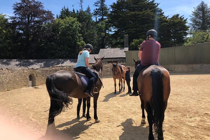 Dublin to Wicklow, Glendalough Small Group Tour with Horse Riding - Enniskerry lunch: useful, but short