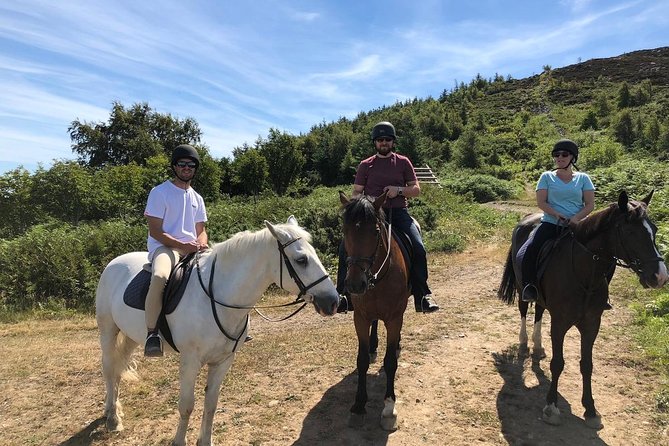 Dublin to Wicklow, Glendalough Small Group Tour with Horse Riding - Killegar Stables: the day’s main event