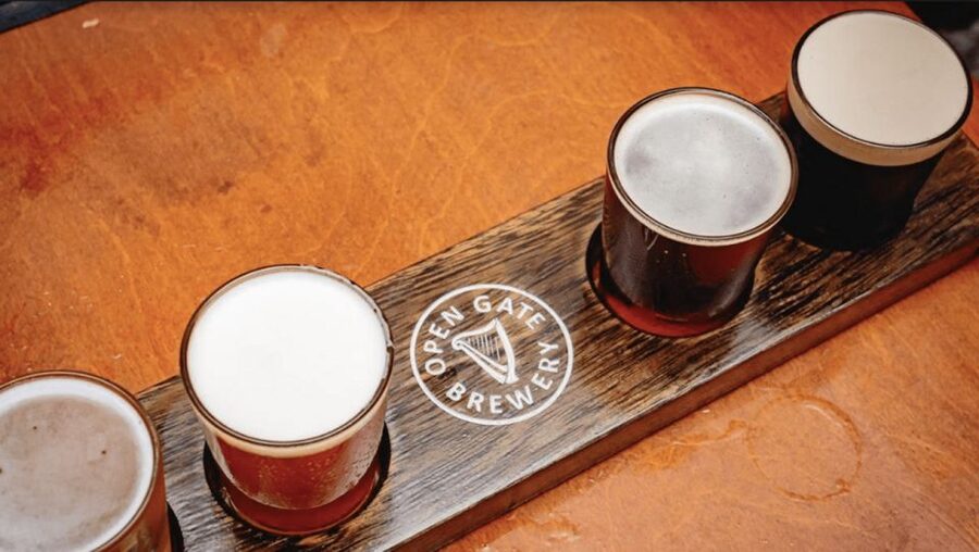 Dublin: Traditional Pubs Walking Tour with Local Guide - Who should book this Dublin pub tour?
