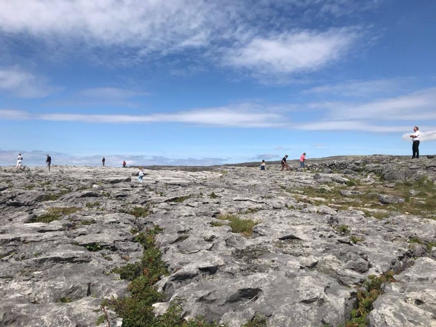 From Dublin: 4-Day Southern and Western Coast Tour - Who should book this Ireland tour?